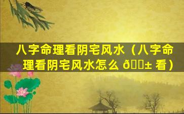 八字命理看阴宅风水（八字命理看阴宅风水怎么 🐱 看）